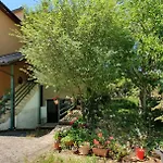 Apartment Maya Mare Rovinj